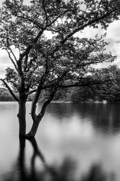 2018_05_26_lac de Panneciere  (0011).jpg - Lac de Pannecière (Mai 2018)